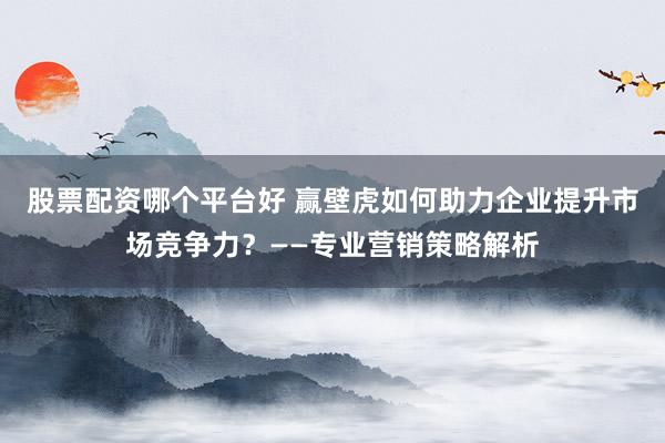 股票配资哪个平台好 赢壁虎如何助力企业提升市场竞争力？——专业营销策略解析