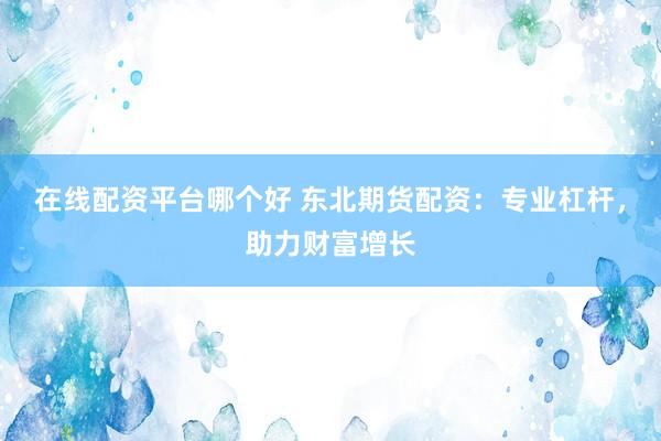 在线配资平台哪个好 东北期货配资：专业杠杆，助力财富增长