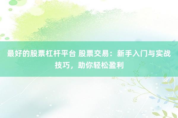 最好的股票杠杆平台 股票交易：新手入门与实战技巧，助你轻松盈利